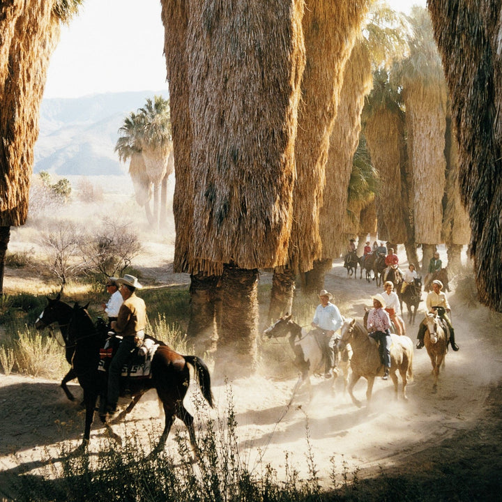 Desert Riders by Slim Aarons - Vertical Grain White Oak Floater