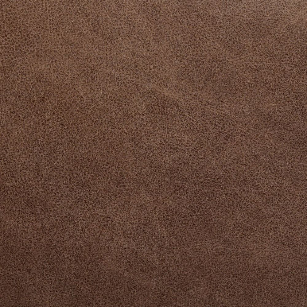 Dining Chairs Ferris Dining Armchair: Palermo Cigar - Light Oak