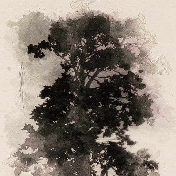 Tree Sketch I By Coup D'esprit-Four Hands-FH-237135-001-Wall Art18"X24"-5-France and Son