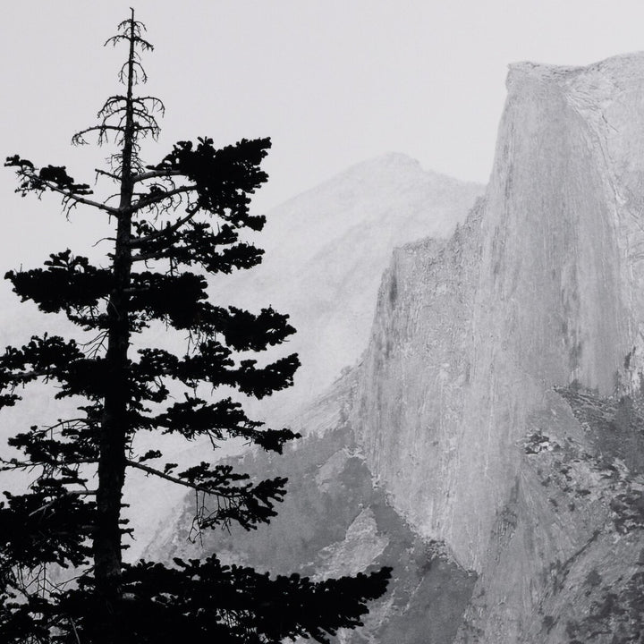 Half Dome From Glacier Point By Getty Images - 32"X24"