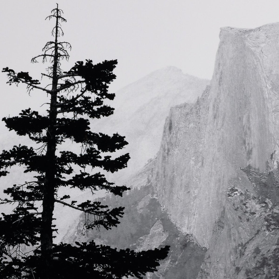 Half Dome From Glacier Point By Getty Images - 40"X30"