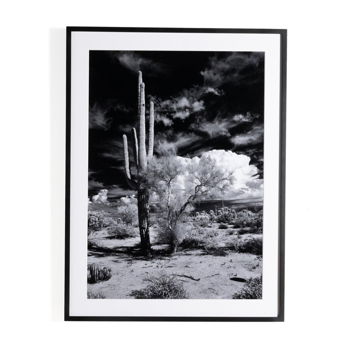 Sonoran Desert By Getty Images - 30"X40"