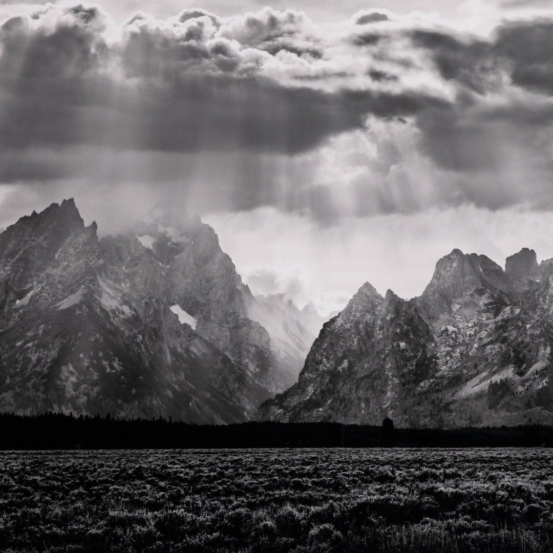 Mountain Peaks by Getty - Black Maple Floater