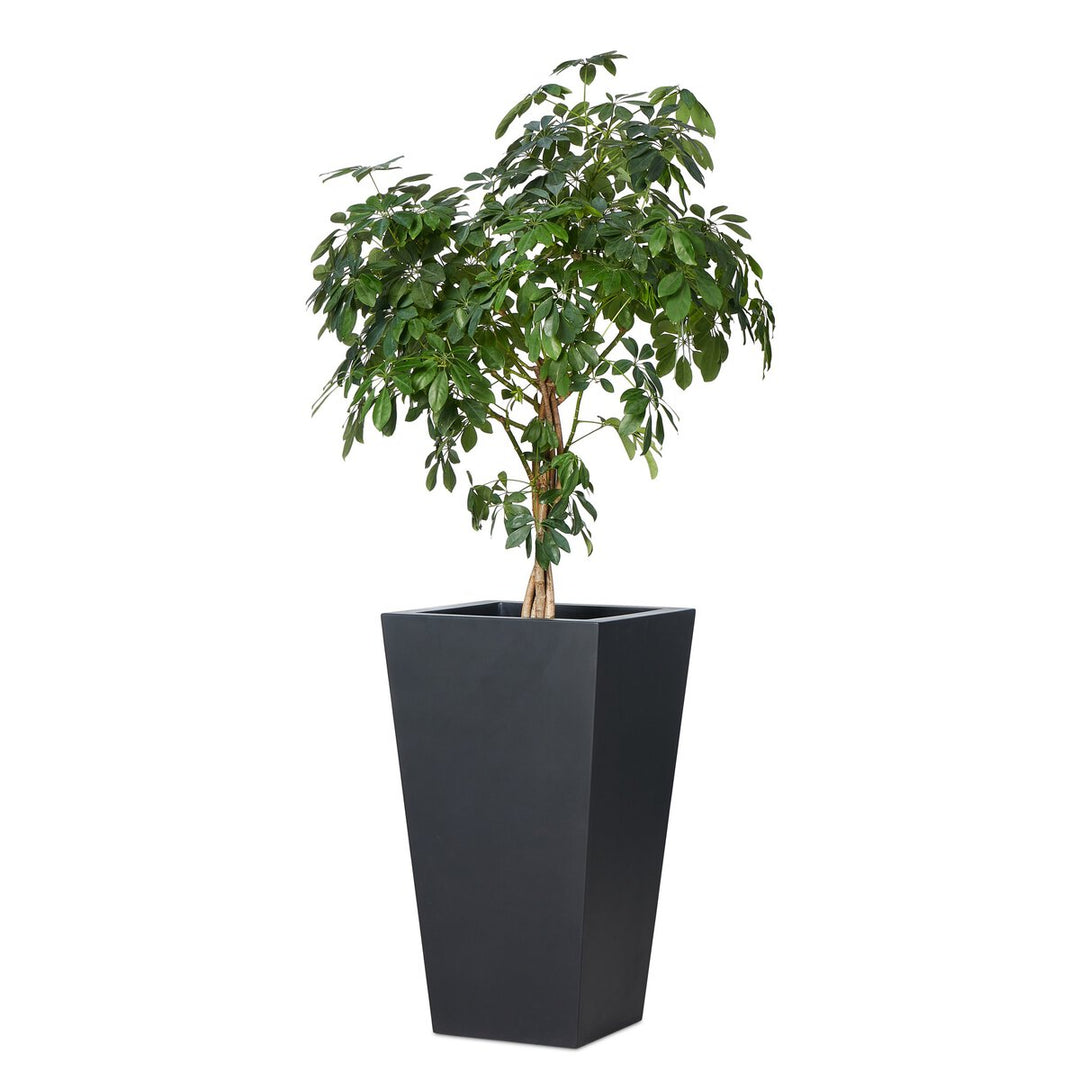 Mako Planter - Tall