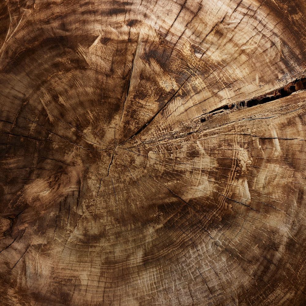 Tazia Bowl: Burnt Reclaimed