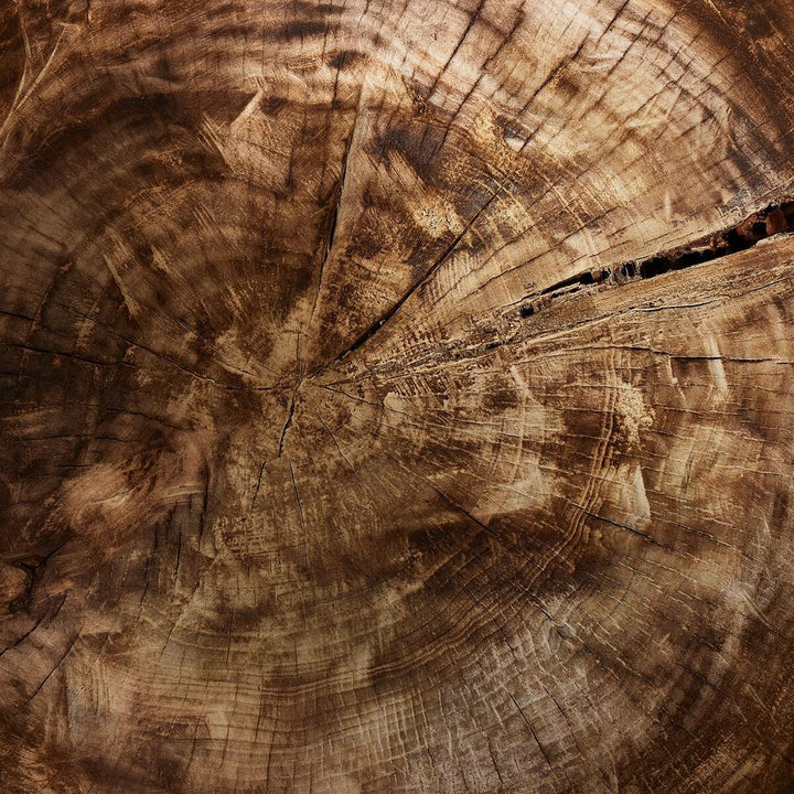 Tazia Bowl: Burnt Reclaimed