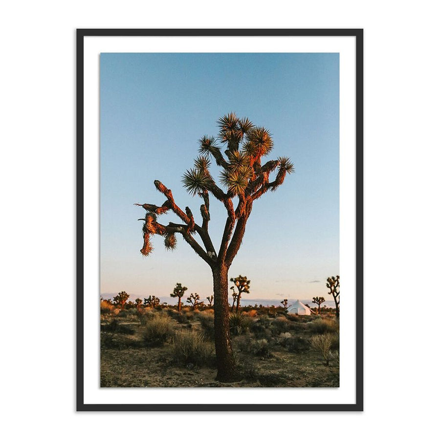 Wall Art Camp Sunrise/Joshua Tree By Wesley And Emma Teague - 24"X32" - Black Maple - Framed Paper