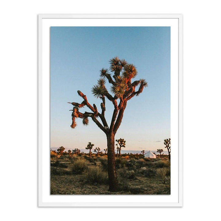 Wall Art Camp Sunrise/Joshua Tree By Wesley And Emma Teague - 24"X32" - White Maple - Framed Paper