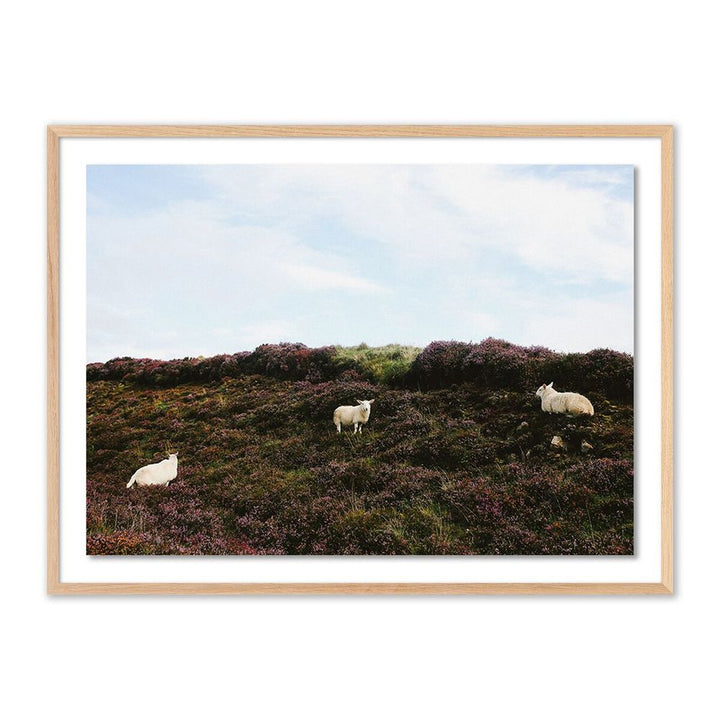 Wall Art Sheep In Heather By Wesley And Emma Teague - 40"X30" - White Oak