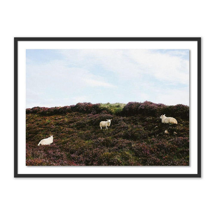 Wall Art Sheep In Heather By Wesley And Emma Teague - 32"X24" - Black Maple