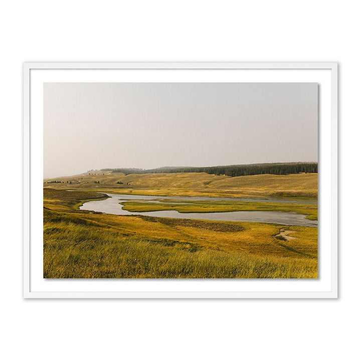 Wall Art Where The Buffalo Roam By Wesley And Emma Teague - 32"X24" - White Maple