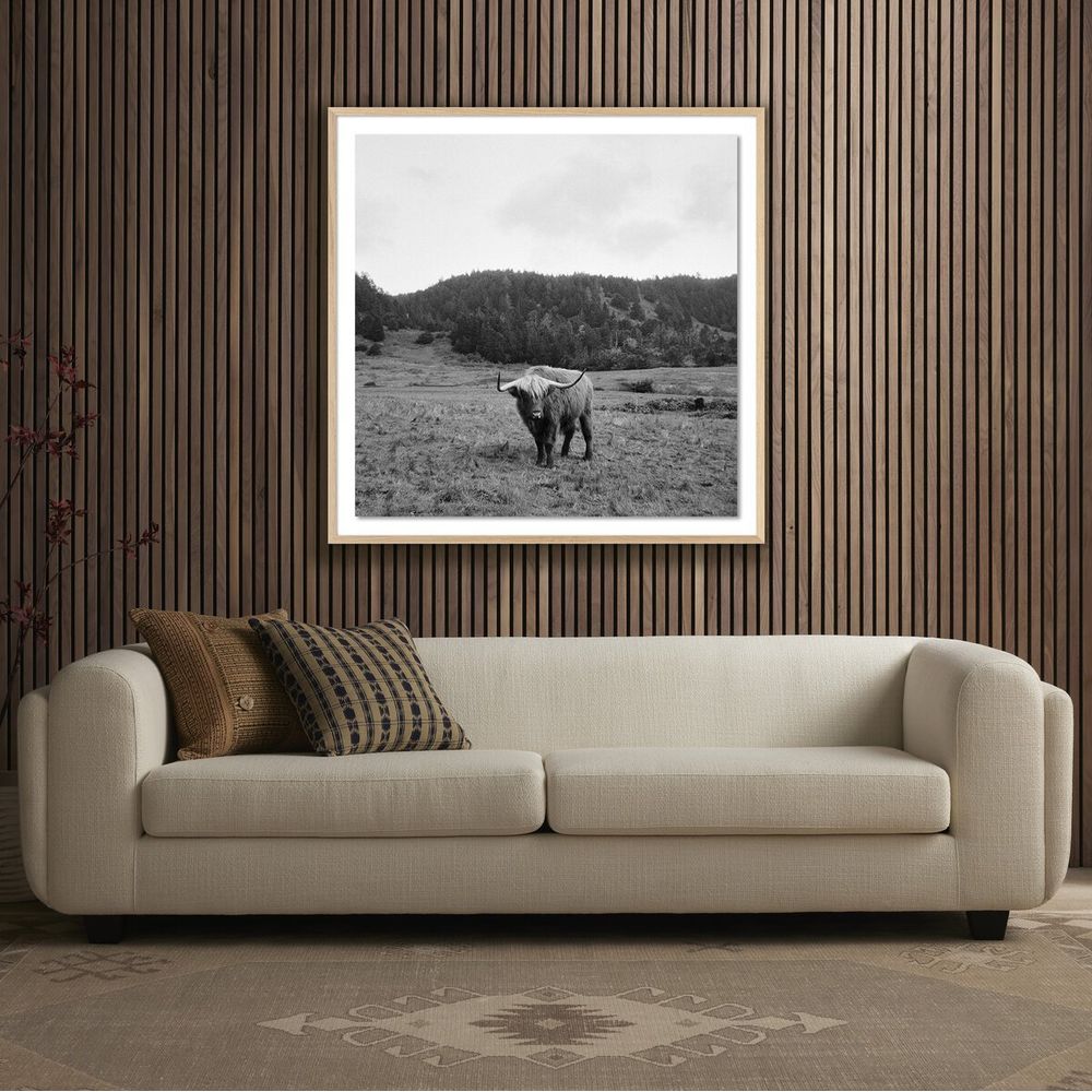 Wall Art Highlander / Elk, Ca By Wesley And Emma Teague - 40"X40" - White Oak - Framed Paper