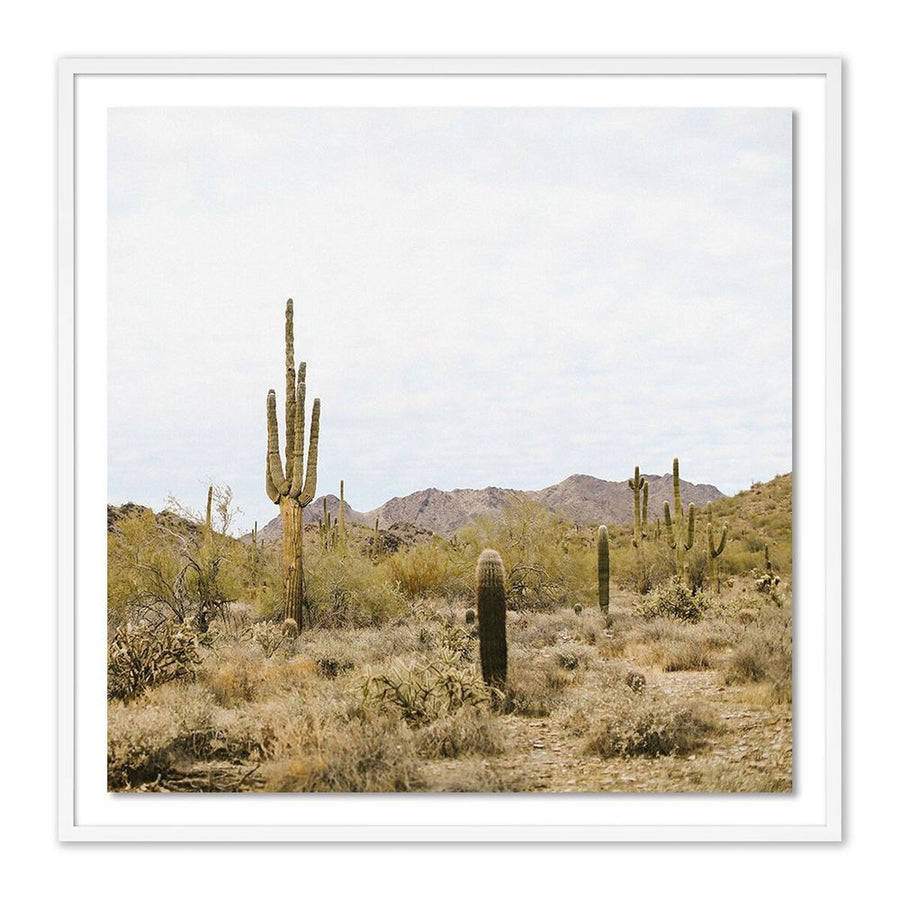 Wall Art High Desert By Wesley And Emma Teague - 24"X24" - White Maple