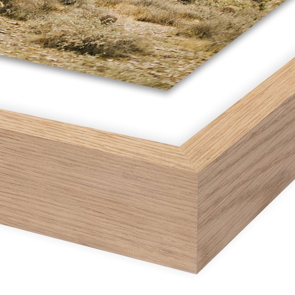 Wall Art High Desert By Wesley And Emma Teague - 40"X40" - White Oak