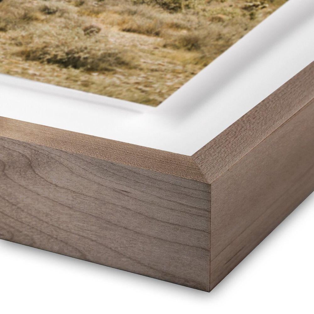 Wall Art High Desert By Wesley And Emma Teague - 40"X40" - Rustic Walnut