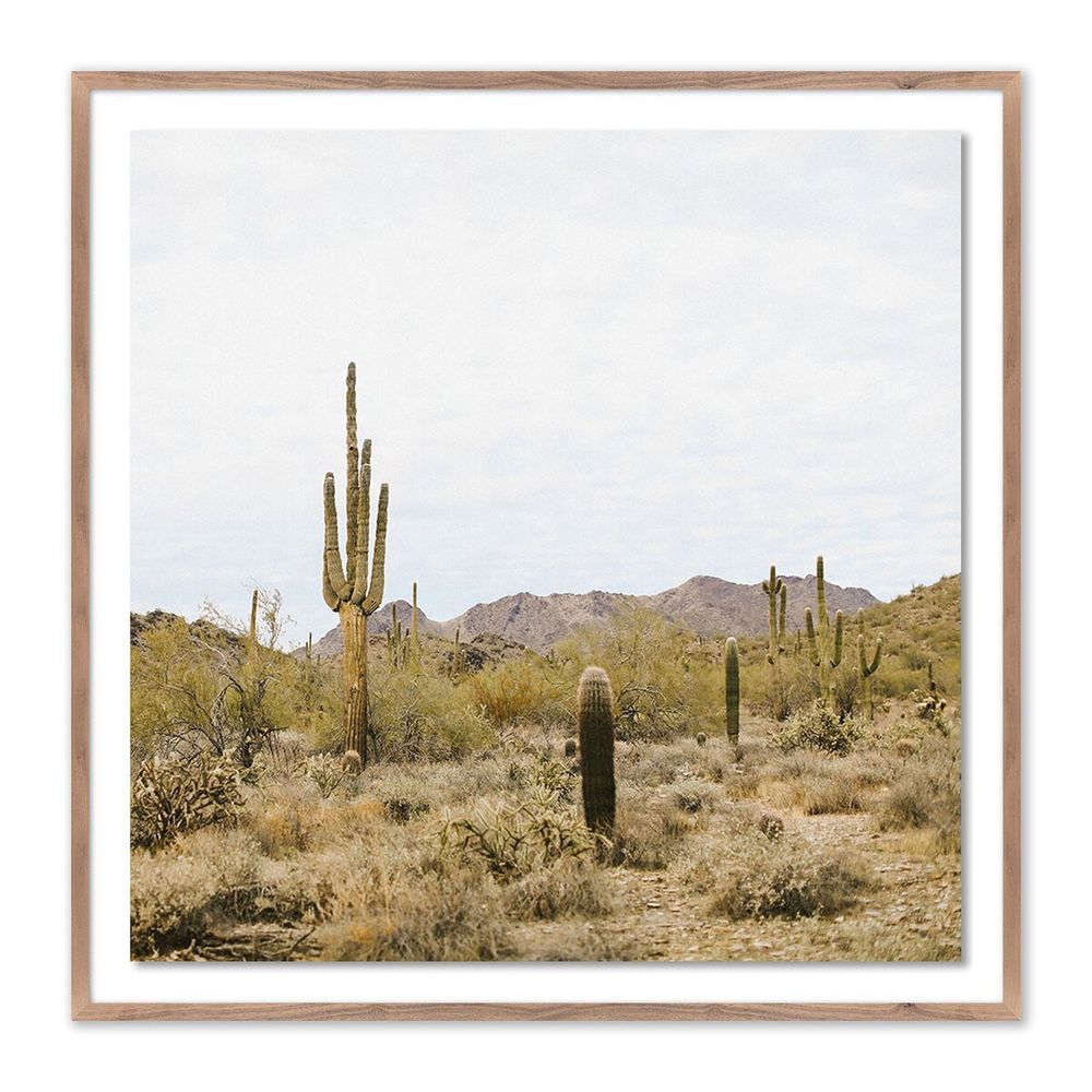 Wall Art High Desert By Wesley And Emma Teague - 40"X40" - Rustic Walnut