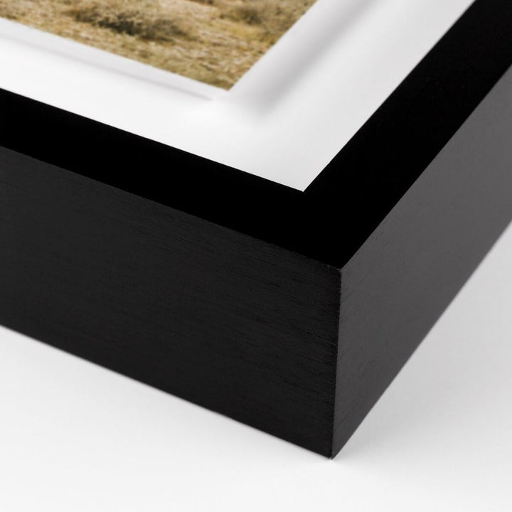 Wall Art High Desert By Wesley And Emma Teague - 40"X40" - Black Maple