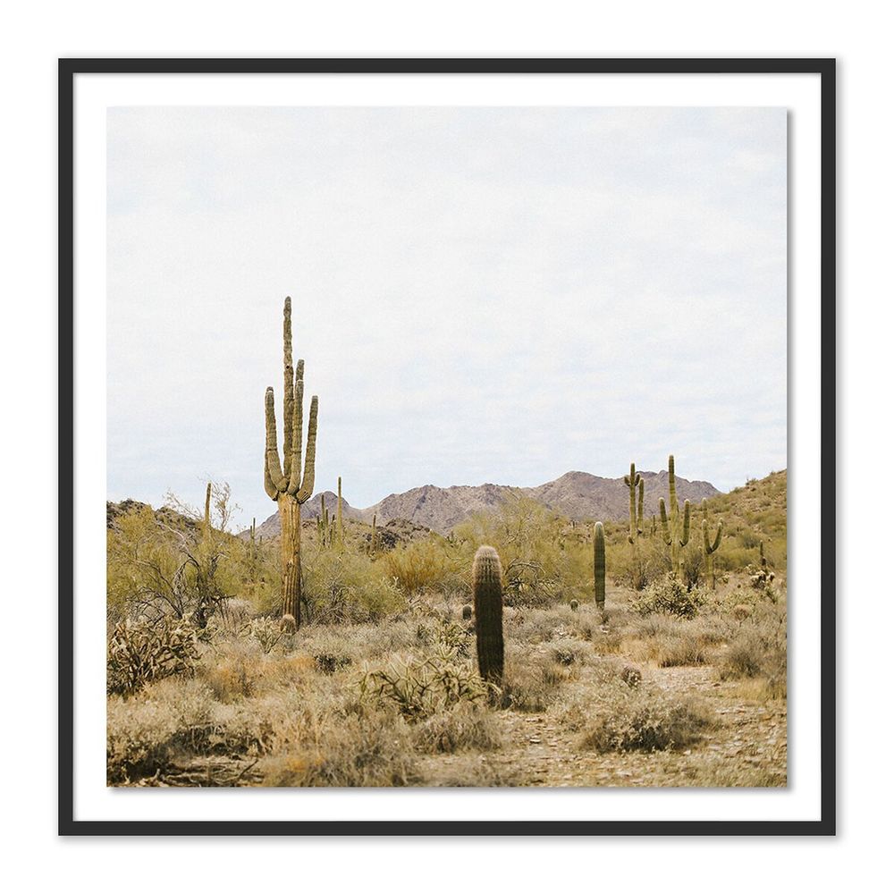 Wall Art High Desert By Wesley And Emma Teague - 40"X40" - Black Maple