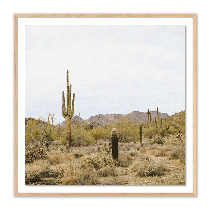 Wall Art High Desert By Wesley And Emma Teague - 48"X48" - White Oak