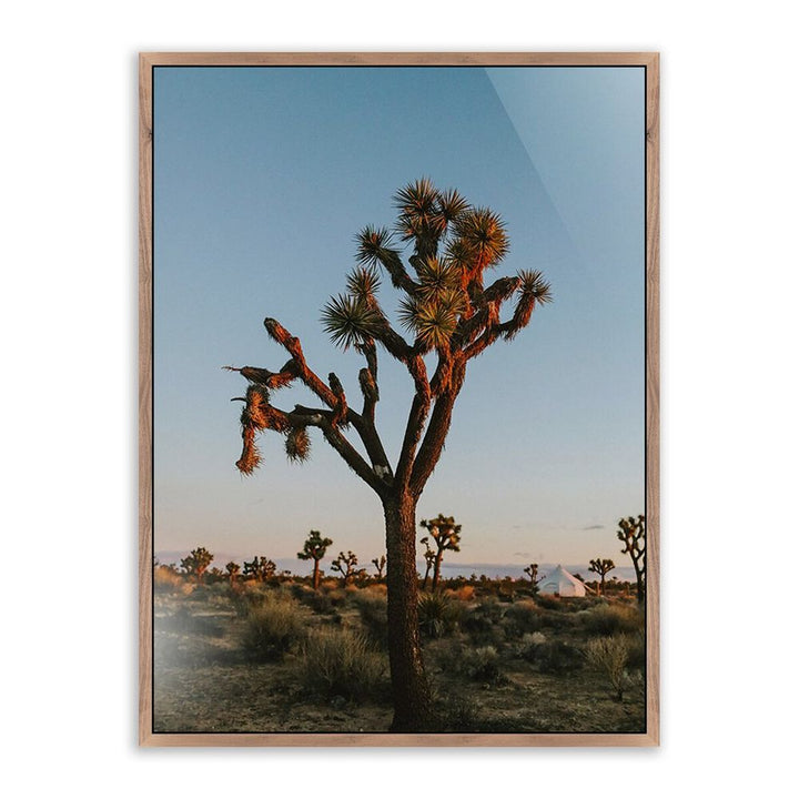 Wall Art Camp Sunrise/Joshua Tree By Wesley And Emma Teague - 40"X60" - Rustic Walnut - Framed Metal
