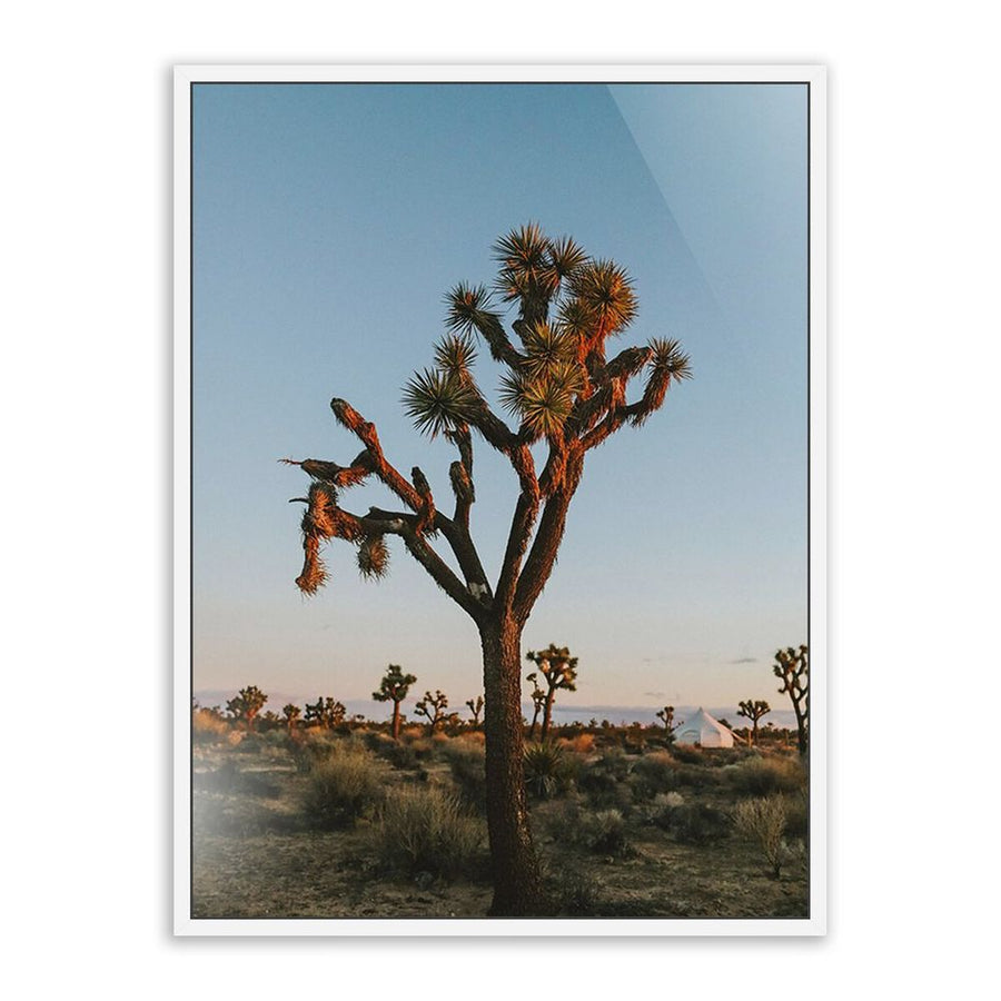 Wall Art Camp Sunrise/Joshua Tree By Wesley And Emma Teague - 48"X72" - White Maple - Framed Metal