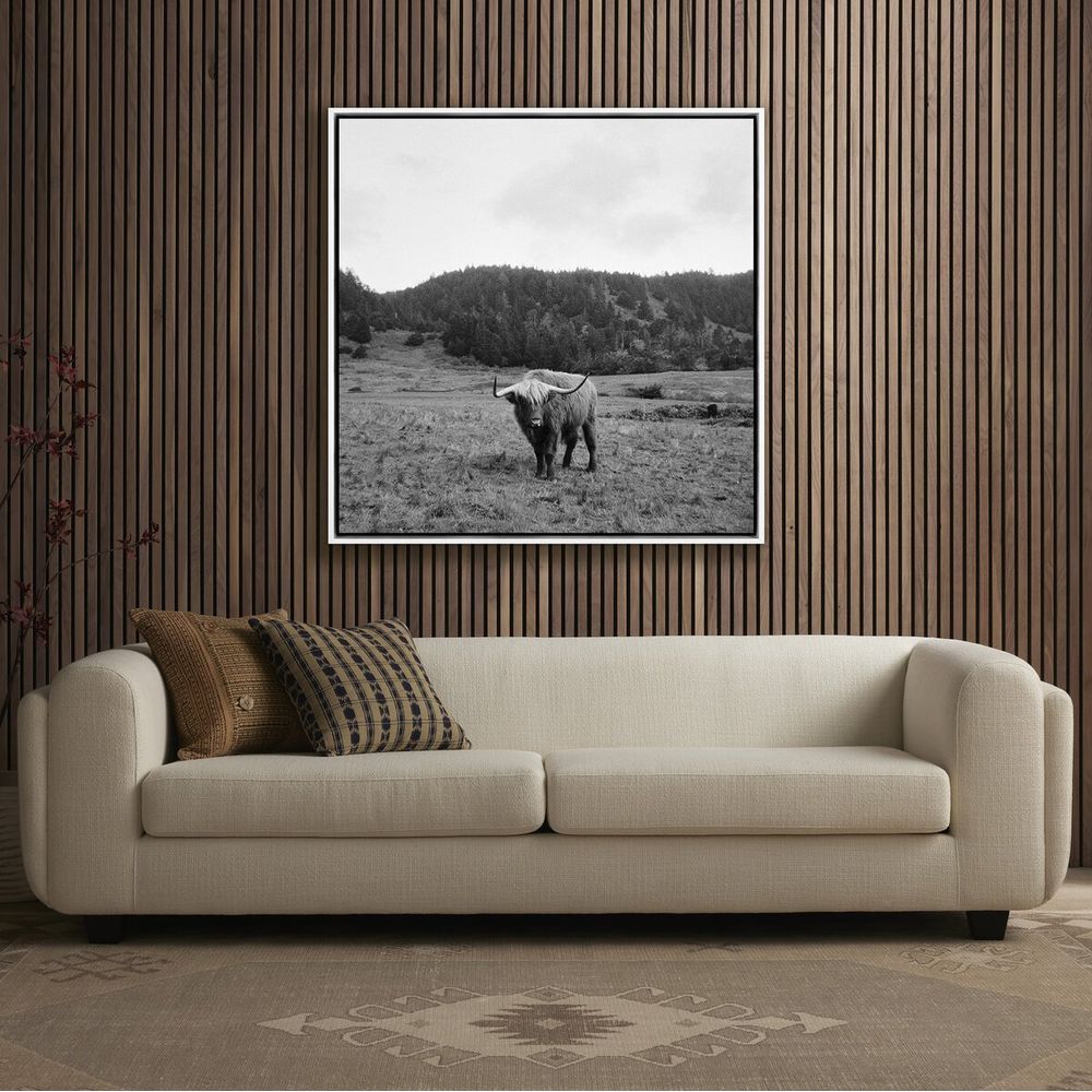 Wall Art Highlander / Elk, Ca By Wesley And Emma Teague - 40"X40" - White Maple Floater - Framed Metal