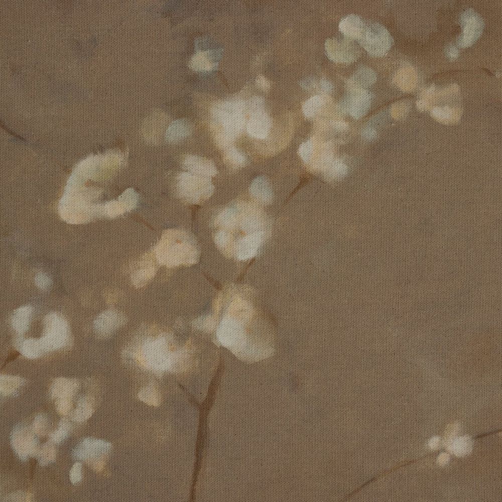 Sakura By Jess Engle - 30"X40"