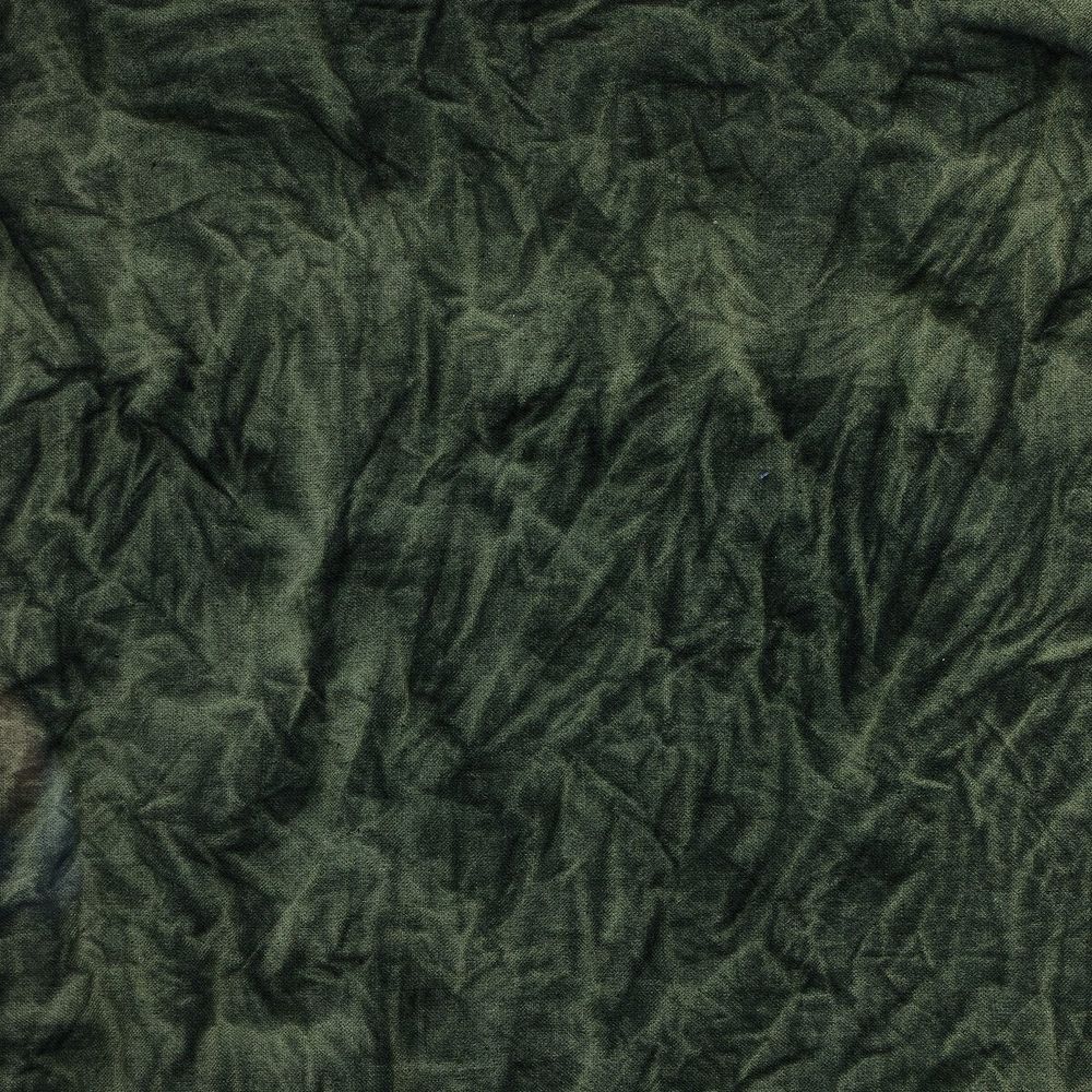 River Of Grass By Molly Franken