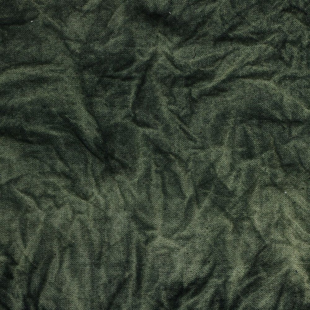 River Of Grass By Molly Franken