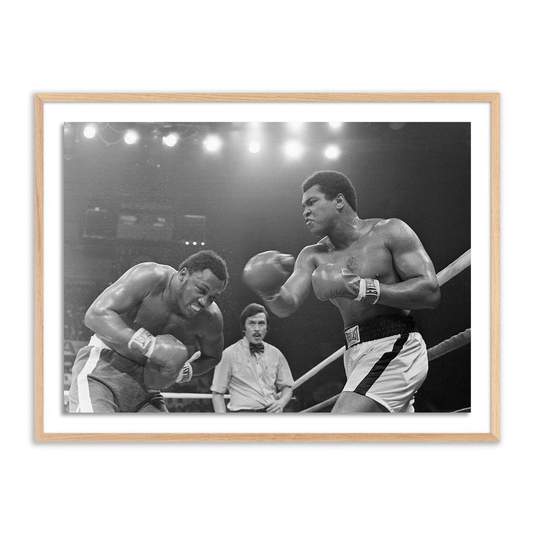 Muhammad Ali Punching Joe Frazier By Getty Images - 32"X24" - White Oak