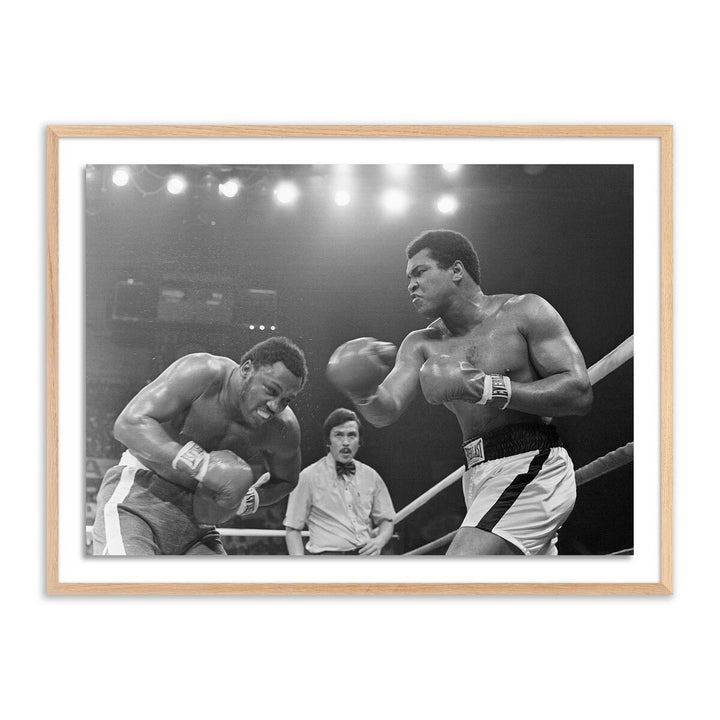 Muhammad Ali Punching Joe Frazier By Getty Images - 32"X24" - White Oak