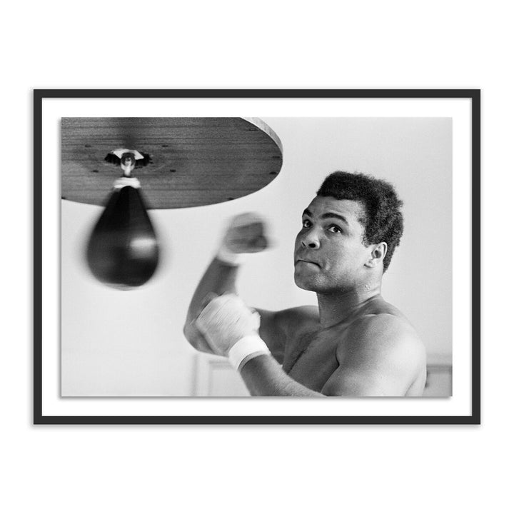 Muhammad Ali Punching Bag By Getty Images - 40"X30" - Black Maple