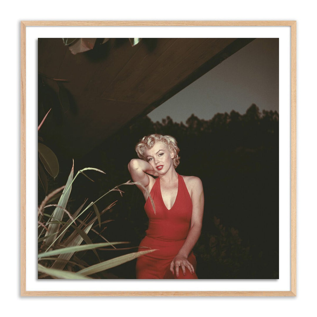 Marilyn Monroe, 1954 By Getty Images - 40"X40" - White Oak