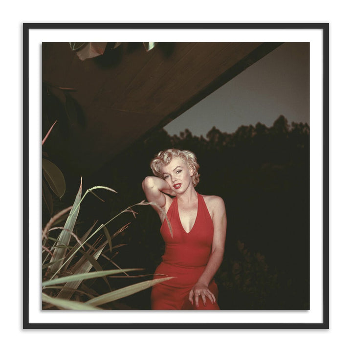 Marilyn Monroe, 1954 By Getty Images - 40"X40" - Black Maple