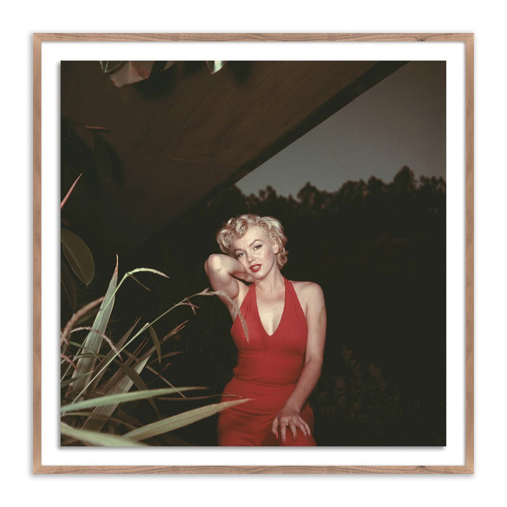 Marilyn Monroe, 1954 By Getty Images - 24"X24" - Rustic Walnut