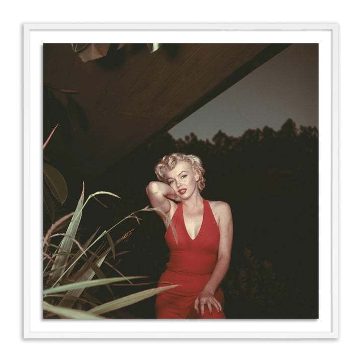 Marilyn Monroe, 1954 By Getty Images - 48"X48" - White Maple