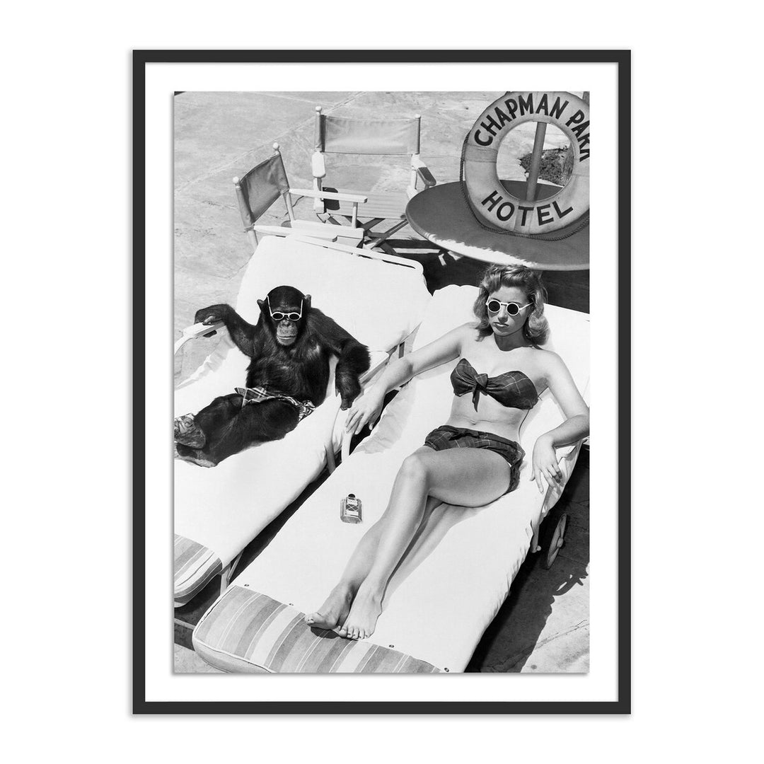 Woman Sunbathing With Chimpanzee By Getty Images - 24"X32" - Black Maple