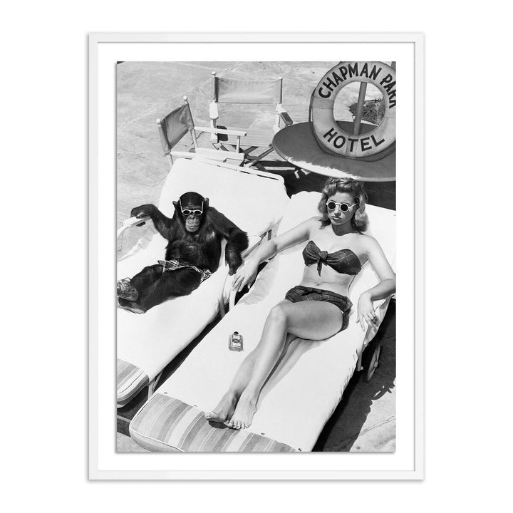 Woman Sunbathing With Chimpanzee By Getty Images - 36"X48" - White Maple