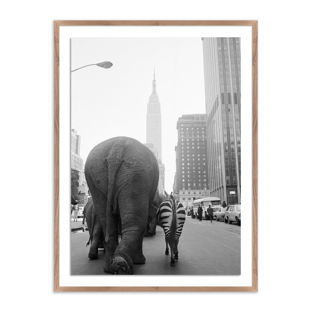 Circus Animals On 33Rd St By Getty Images - 18"X24" - Rustic Walnut