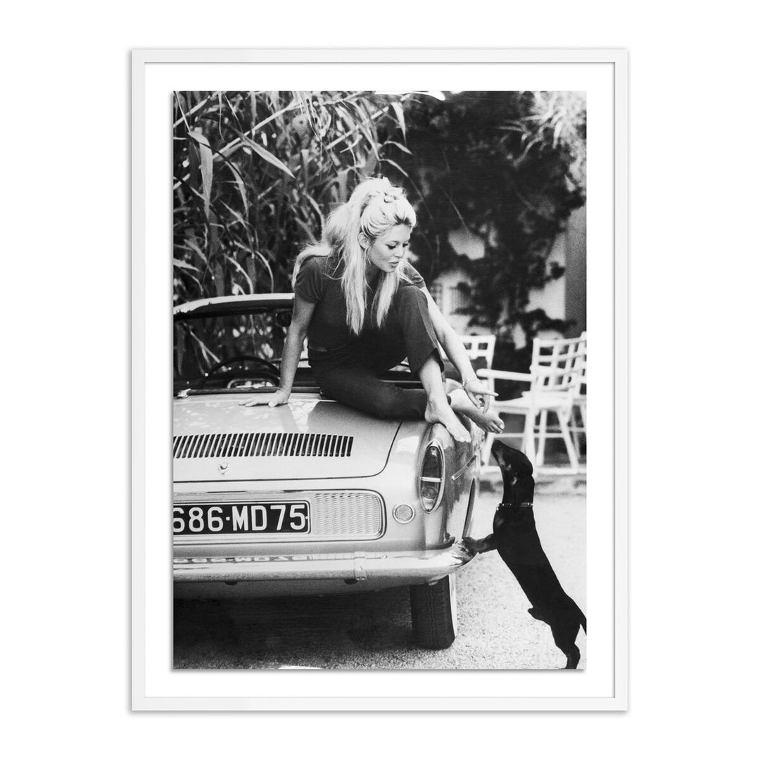 Brigitte Bardot With Dashchund By Getty Images - 30"X40" - White Maple