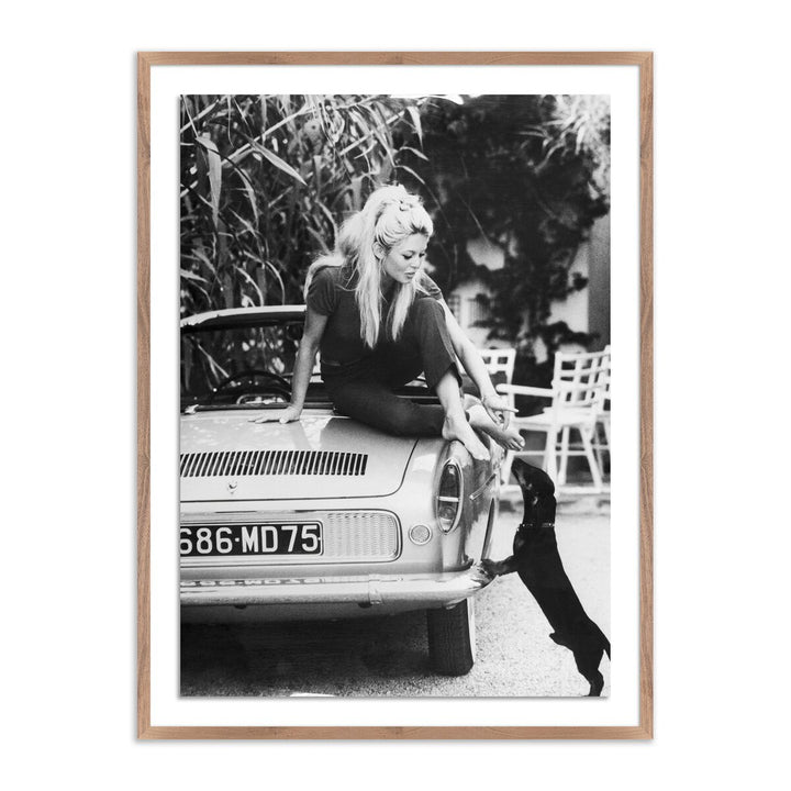 Brigitte Bardot With Dashchund By Getty Images - 18"X24" - Rustic Walnut