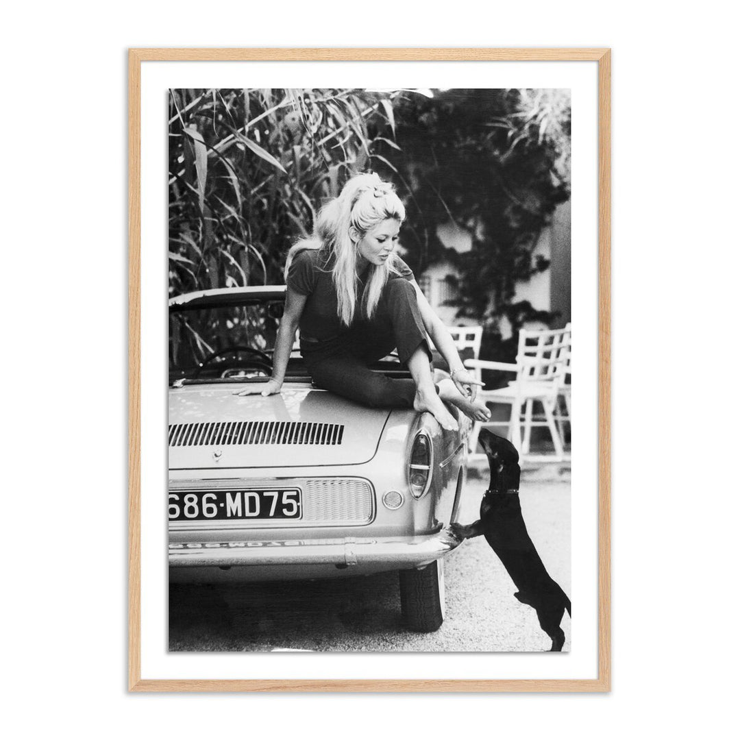 Brigitte Bardot With Dashchund By Getty Images - 36"X48" - White Oak