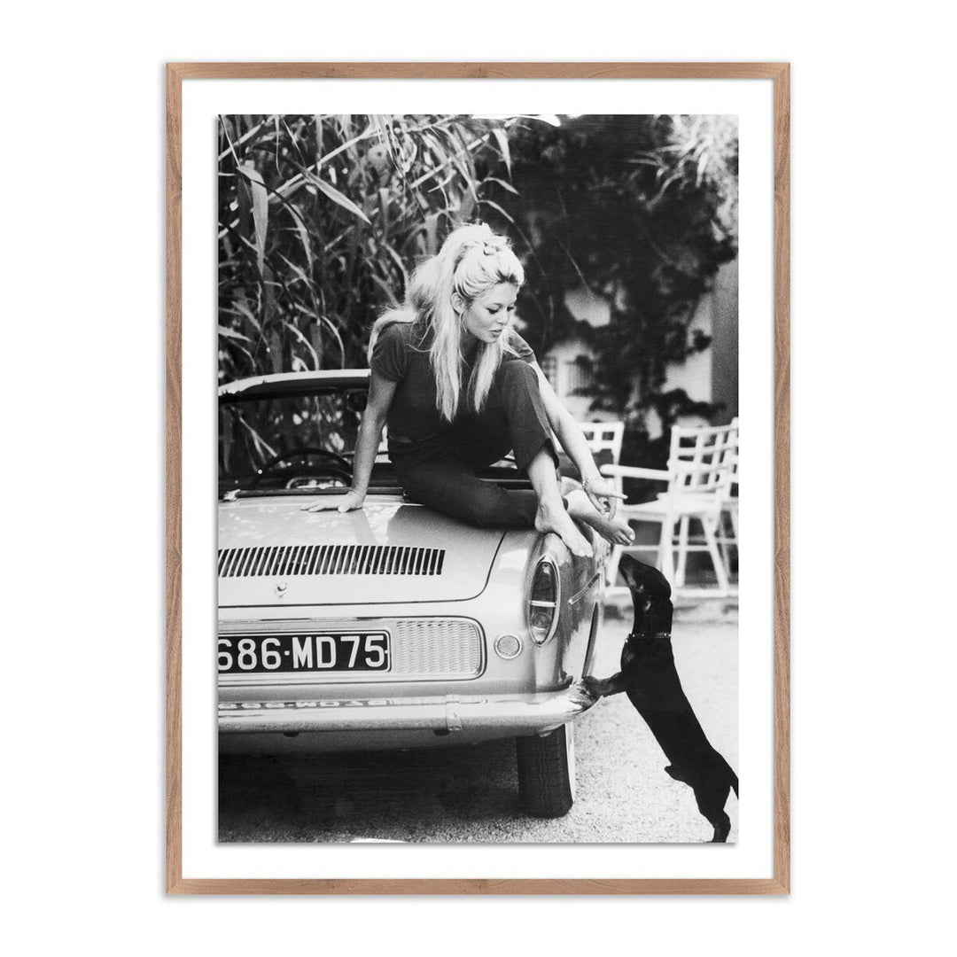 Brigitte Bardot With Dashchund By Getty Images - 24"X32" - Rustic Walnut