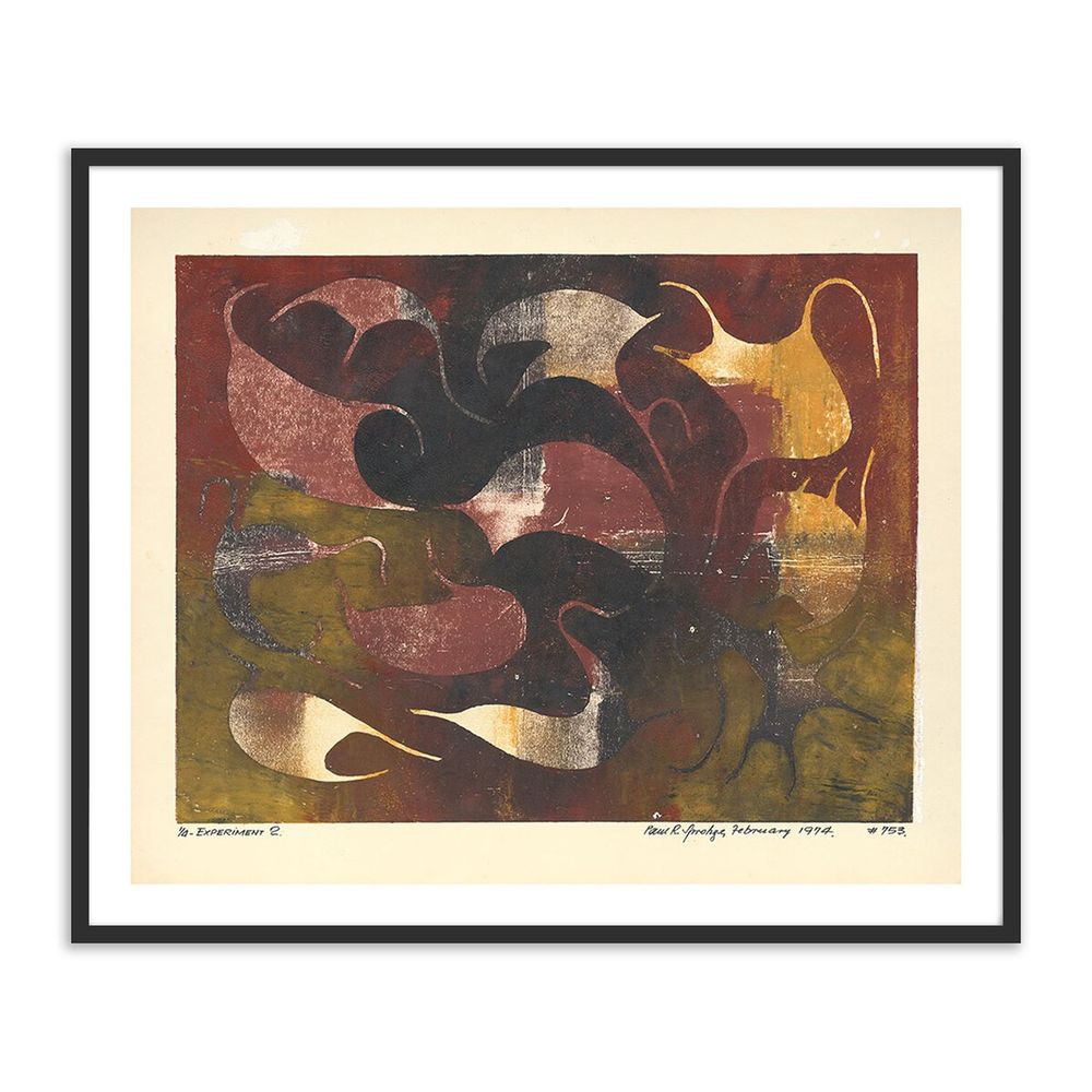 Wall Art Experminet Ii By Pepi Sprohge - 32"X27" - Black Maple