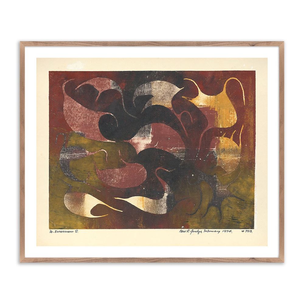 Wall Art Experminet Ii By Pepi Sprohge - 24"X20.5" - Rustic Walnut