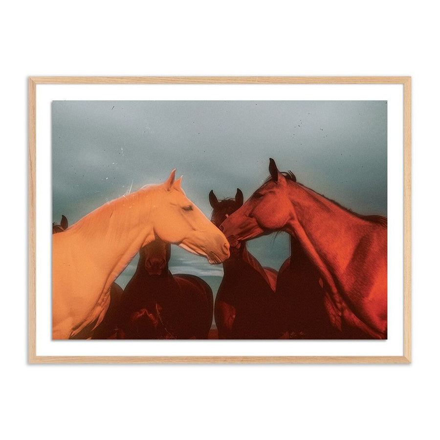 Wall Art Sunset Horses By Coup D'Esprit - 48"X36" - White Oak