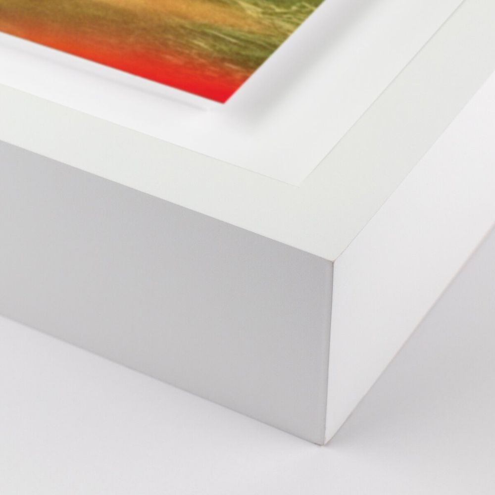 Wall Art Prairie Ii By Coup D'Esprit - 40"X30" - White Maple - Framed Paper