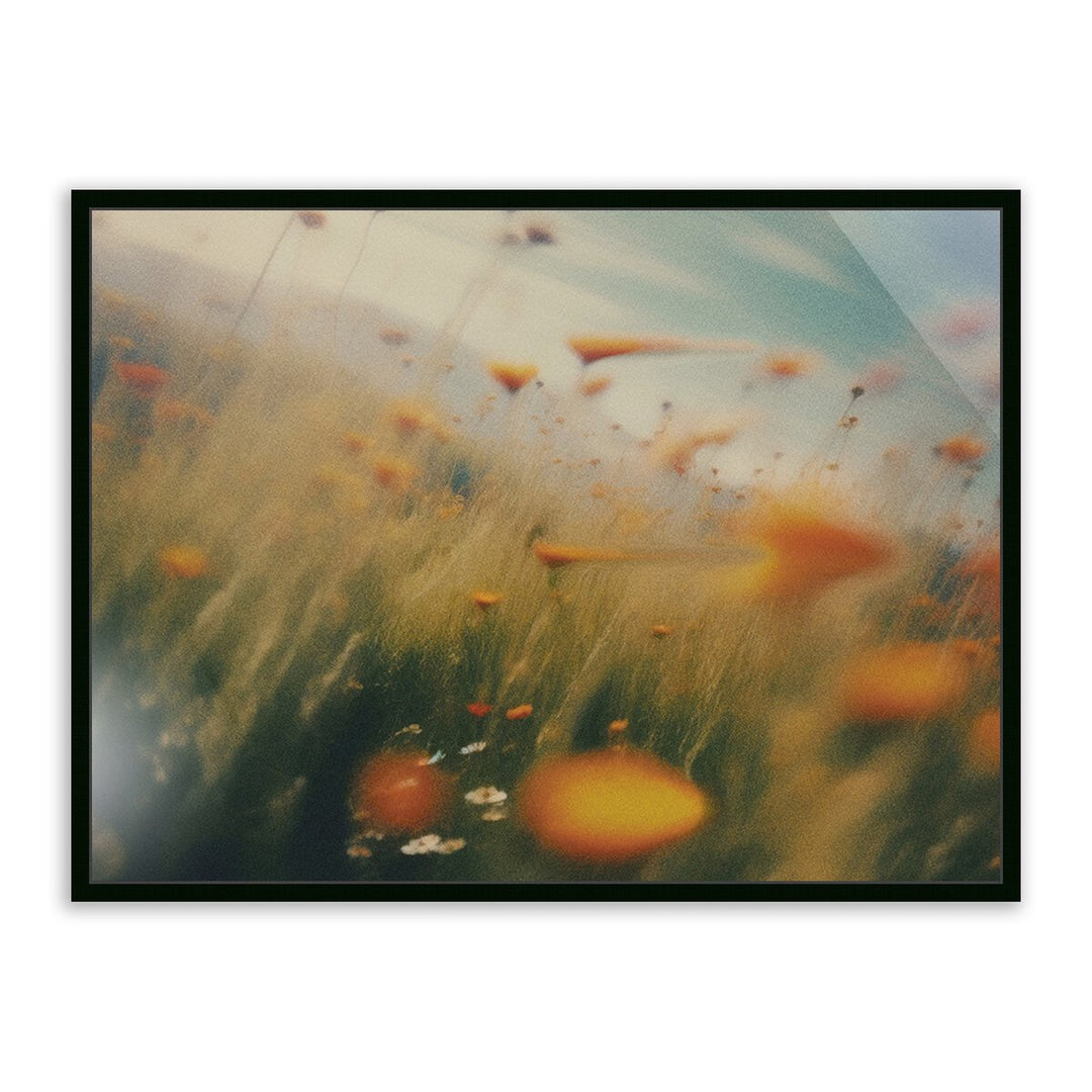 Prairie I By Coup D'Esprit - 48"X36" - Black Maple - Metal Frame