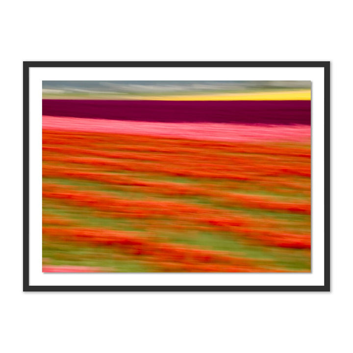 Blurred Flowers Ii By Geoffrey Baris - 24"X18" - Black Maple - Framed Paper