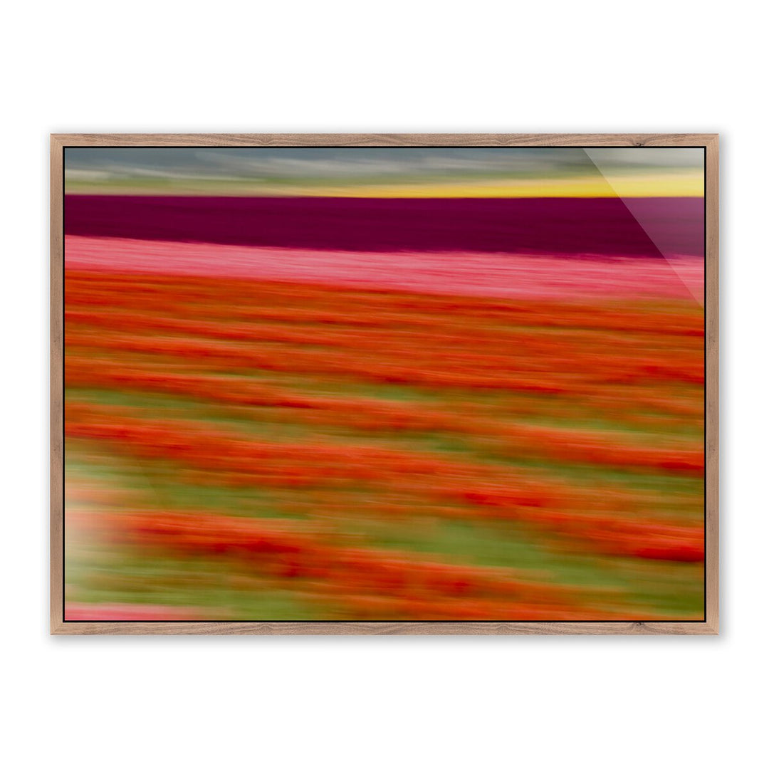 Blurred Flowers Ii By Geoffrey Baris - 40"X30" - Rustic Walnut - Framed Metal